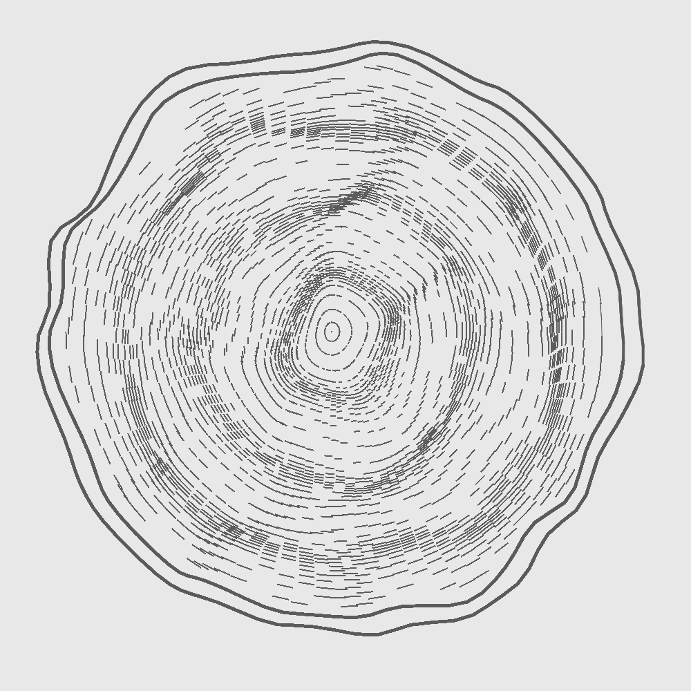 tree ring gen art
