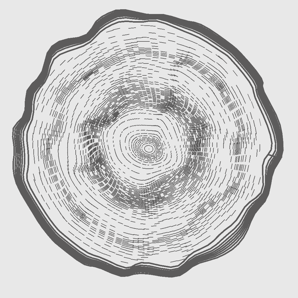 tree ring gen art
